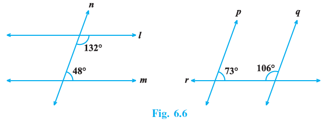 Page 57 Chapter 6 Class 9th NCERT Exemplar